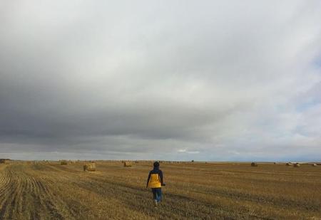 地雷复卦是什么卦(复卦一阳初生之象)