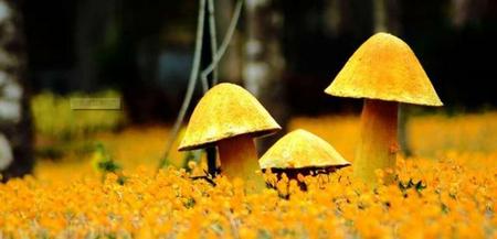 中国人为何喜欢红色