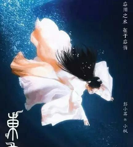 《东宫》作者:匪我思存(东宫by匪我思存全文阅读)