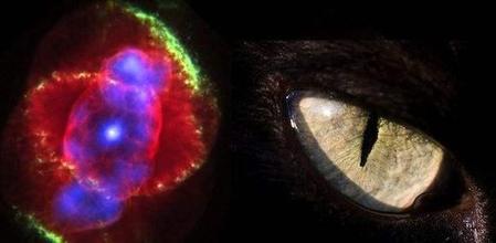 宇宙之外到底是什么(宇宙肯定还有其他人类)