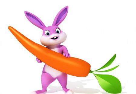 属兔子的人的性格怎么样