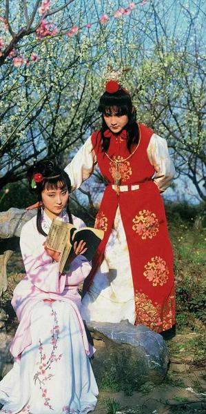 红楼梦的结局是什么(八国联军在北京烧杀抢掠)