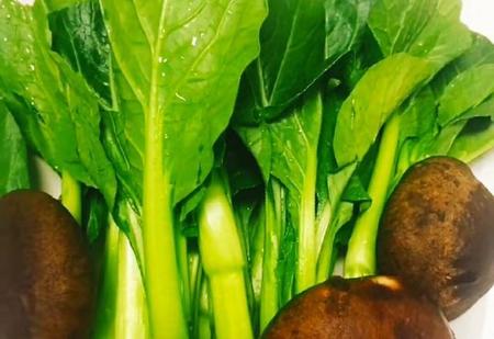 香菇菜心饺子馅的做法(青菜香菇饺子馅的配料)