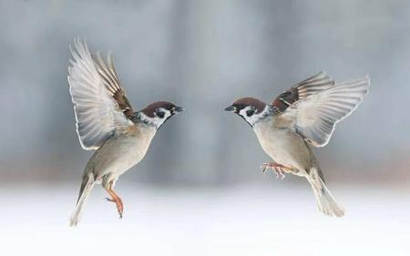 分分合合的情侣能有结果吗(情侣分分合合是真爱吗)