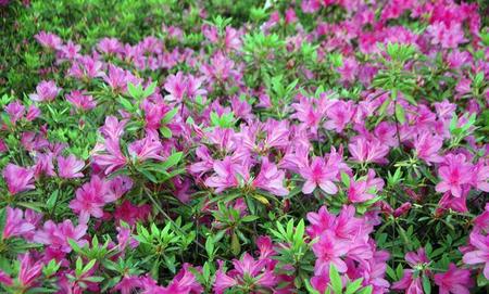 金牛座念旧吗(金牛座会和前任复合么)