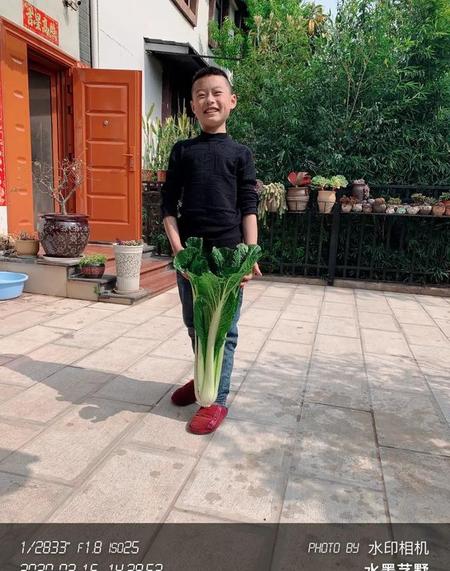 疫情期间去理发店注意什么(理发店疫情防控方案)