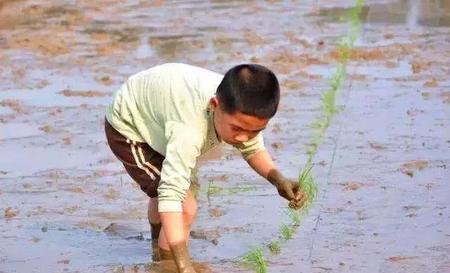世界上最毒的十种动物是什么动物(世界上最毒的十大动物排行榜)