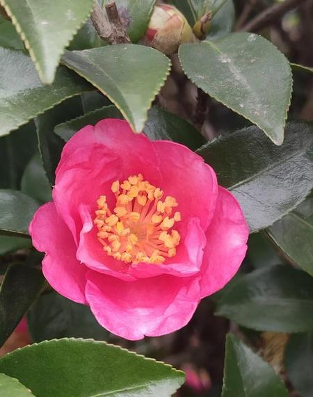 如何做一个妻管严(妻管严的家庭更幸福)