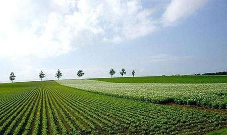 现在农村创业有什么好做的(中央电视台致富经栏目)