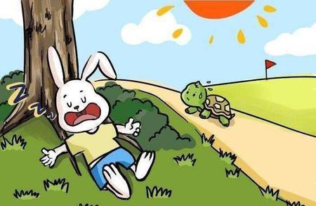 龟兔赛跑为什么乌龟赢了(龟兔赛跑乌龟为什么会赢)