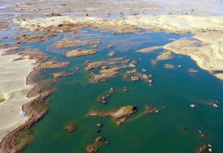 塔克拉玛干沙漠降雨增多(太天真是哪首歌的歌词)