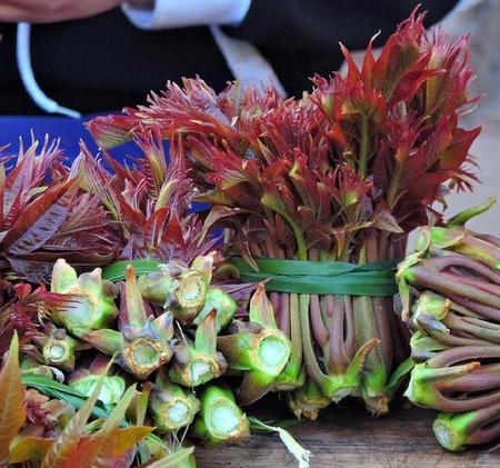 香椿有几种吃法