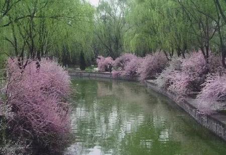 冬季肥水塘怎么钓鲫鱼(秋季野钓鲫鱼在塘里)