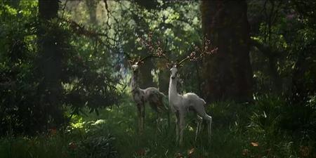 湮灭讲的什么故事(湮灭这个电影讲的是什么)