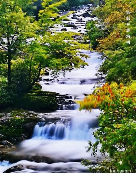 噩梦到底会不会成真(做梦其实是前世的经历)