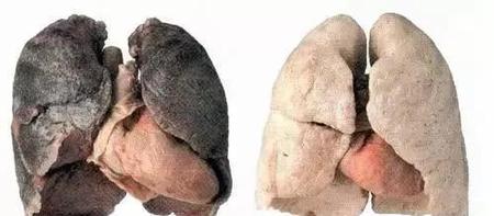 为什么有人说戒烟成功的人可怕?(戒烟成功的人很可怕)