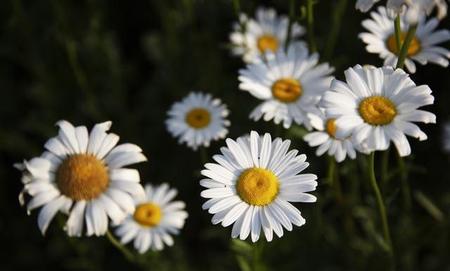 人到中年心态变了