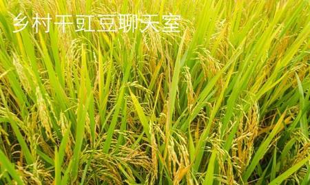 农民种地辛苦(形容农民种地辛苦的句子)