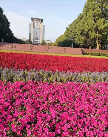 看了这本小说,我留下了深刻的印象