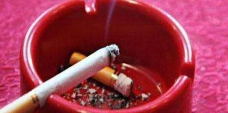 烟灰能当植物肥料吗(烟灰可以当什么花的肥料养花)