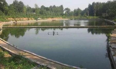 农村池塘养鱼方法(鱼塘养鱼需要取水证吗)