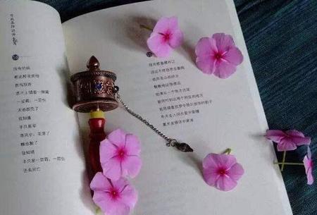 不一样的精彩作文开头和结尾(作文精彩的开头和结尾摘抄)