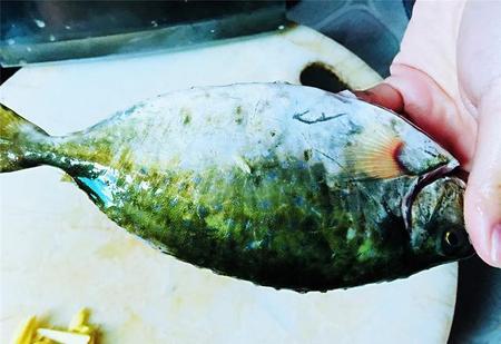 泥猛鱼的做法大全