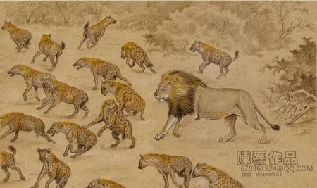 多少只鬣狗打得过雄狮(一只雄狮可以打多少只鬣狗)