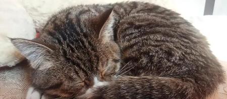 怎么对付没素质的邻居(气球装饰拱门)