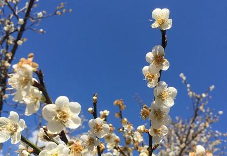 世界上最难戒的瘾(毒瘾有多难戒)