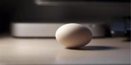 怎样克制食欲减肥(怎么控制饮食减肥嘴馋)