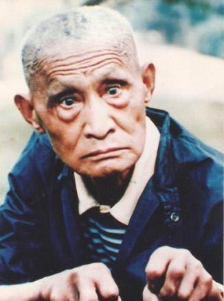 武侠小说中用毒的门派(武侠小说中用暗器的门派)