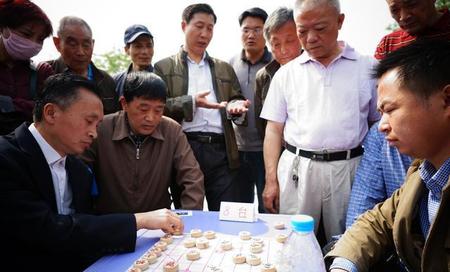 怎么能快速提高象棋水平(棋谱大全 中国象棋)