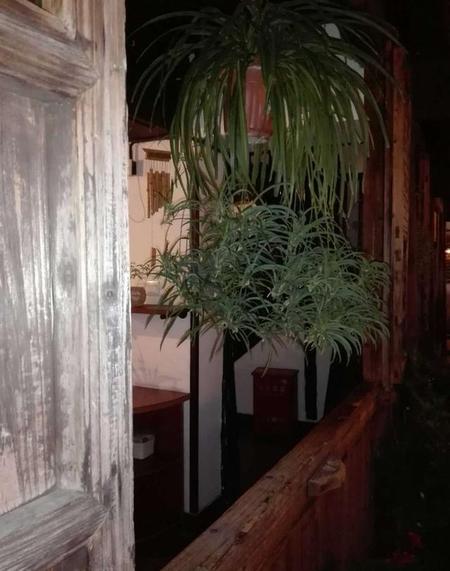 路遥平凡的世界结局(路遥平凡的世界大结局)