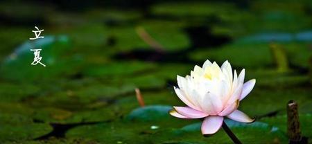 立夏吃鸭蛋有什么说法