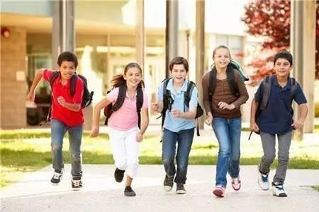 宁当鸡头不当凤尾适合上学的学生吗