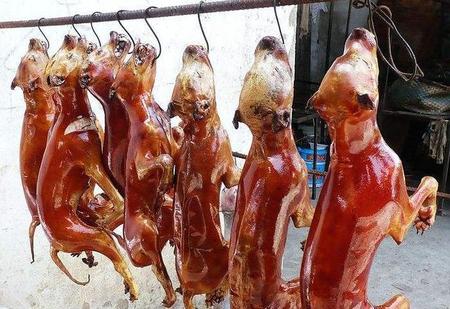 常吃狗肉的好处和坏处