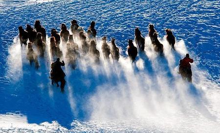 逆光怎么拍摄会比较好(手机如何拍出逆光)