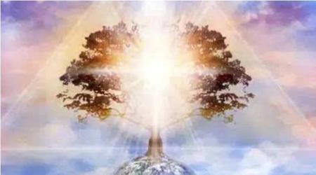 望此去人世(归渡洛水翻译)