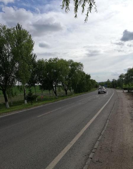 画虎不成反类犬的成语故事