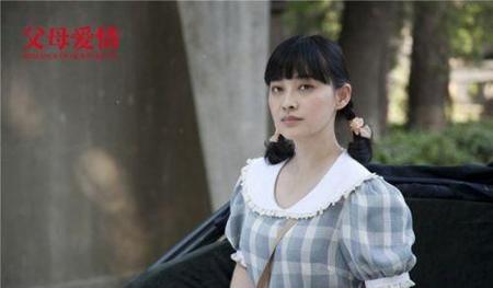 父母爱情电视剧剧情(电视剧父母爱情剧情介绍)