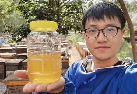 蜂蜜怎么辨别真假?(如何识别蜂蜜真假鉴别)