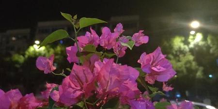 头条都是他头像