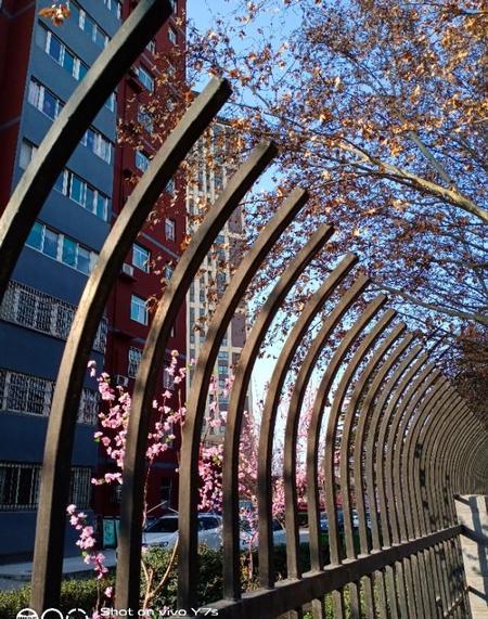 资管新规延长至2021年(资管新规对金融机构的影响)