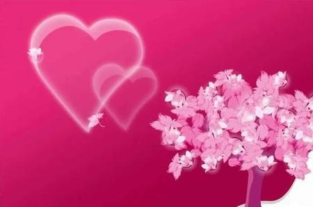 不是情人节可以送花吗(情人节给老婆送花,可以写什么)