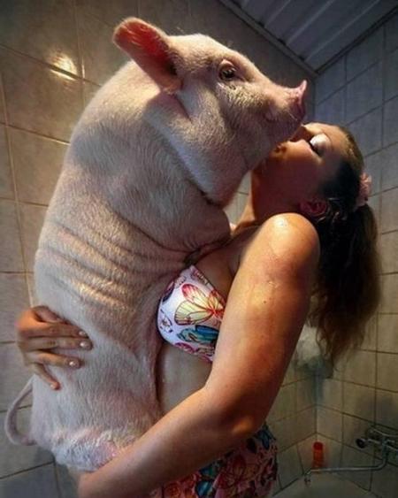 跛豪和追龙哪个更真实