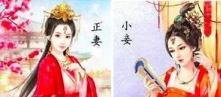 古代嫡庶之分很重要吗(世代相传的意思)