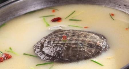 甲鱼能补什么(甲鱼补什么好处)