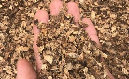 花生壳怎样发酵做肥料(花生壳发酵后是什么肥料)