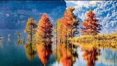 怎样让自己心平气和